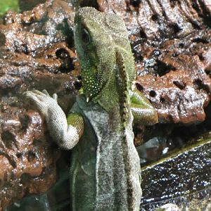 Haus des Meeres 20.06.2010