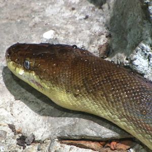 Haus des Meeres 20.06.2010