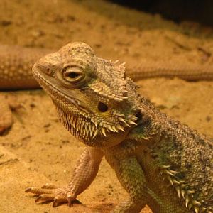 Haus des Meeres 20.06.2010