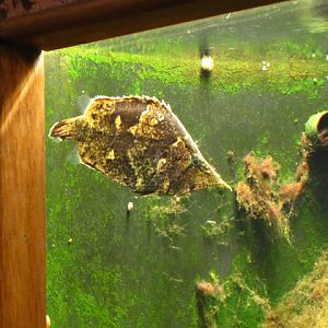 Haus des Meeres 20.06.2010