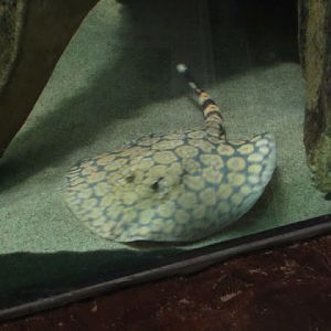 Haus des Meeres 20.06.2010