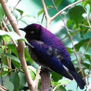 Haus des Meeres 20.06.2010