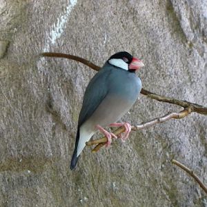 Haus des Meeres 20.06.2010