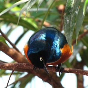 Haus des Meeres 20.06.2010