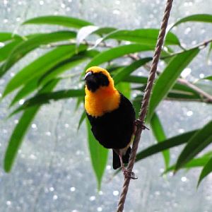 Haus des Meeres 20.06.2010