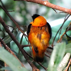 Haus des Meeres 20.06.2010