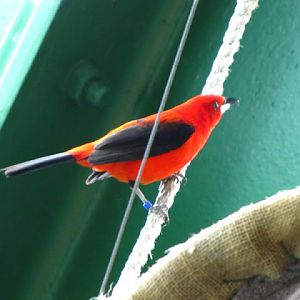 Haus des Meeres 20.06.2010