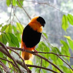 Haus des Meeres 20.06.2010