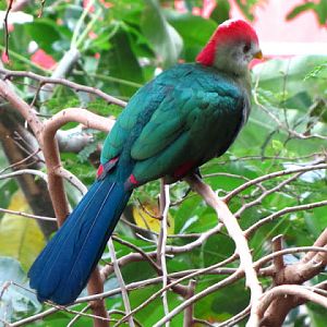 Haus des Meeres 20.06.2010