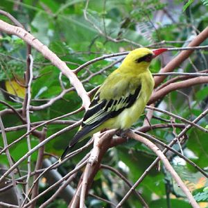 Haus des Meeres 20.06.2010