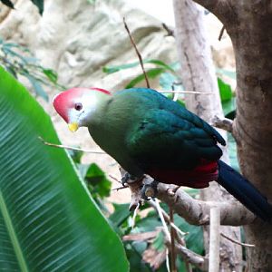 Haus des Meeres 20.06.2010