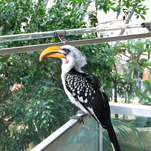 Haus des Meeres 20.06.2010