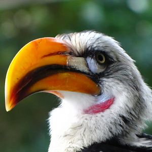 Haus des Meeres 20.06.2010