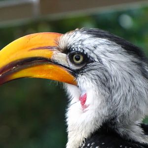 Haus des Meeres 20.06.2010