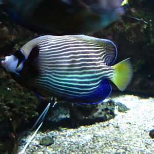 Haus des Meeres 20.06.2010