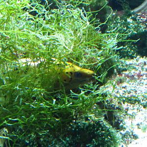 Haus des Meeres 20.06.2010