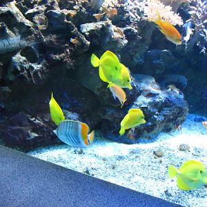 Haus des Meeres 20.06.2010