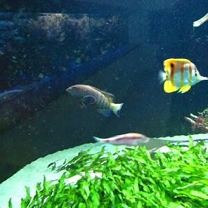 Haus des Meeres 20.06.2010