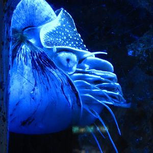 Haus des Meeres 20.06.2010