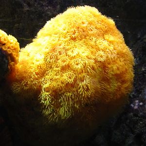 Haus des Meeres 20.06.2010