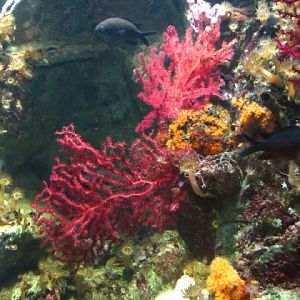 Haus des Meeres 20.06.2010