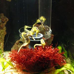 Haus des Meeres 20.06.2010