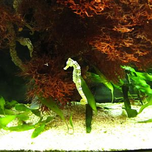 Haus des Meeres 20.06.2010