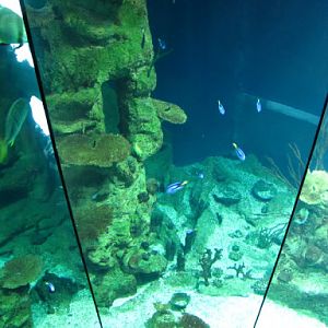 Haus des Meeres 20.06.2010