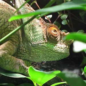 Haus des Meeres 20.06.2010