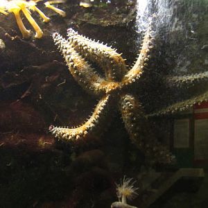 Haus des Meeres 20.06.2010