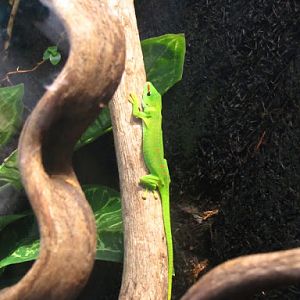 Haus des Meeres 20.06.2010