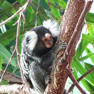 Haus des Meeres 20.06.2010