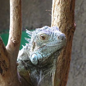 Haus des Meeres 20.06.2010