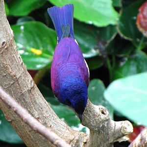 Haus des Meeres 20.06.2010