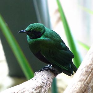 Haus des Meeres 20.06.2010