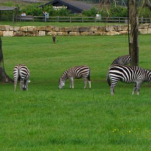 Longleat Safari & Adventure Park 29.05.2011