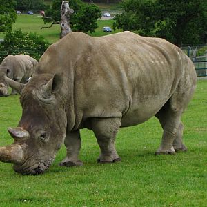 Longleat Safari & Adventure Park 29.05.2011