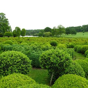 Longleat Safari & Adventure Park 29.05.2011