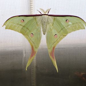 Longleat Safari & Adventure Park 29.05.2011