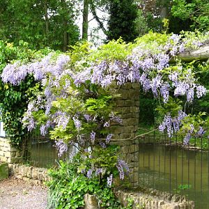 Birdland Park & Gardens 19.05.2007