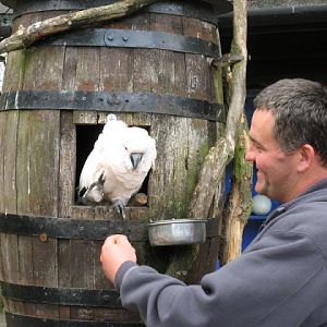 Birdland Park & Gardens 19.05.2007