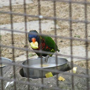 Birdland Park & Gardens 19.05.2007