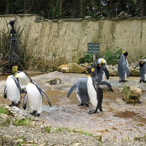 Birdland Park & Gardens 19.05.2007