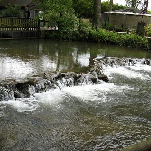 Birdland Park & Gardens 19.05.2007