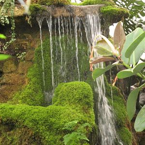 Birdland Park & Gardens 19.05.2007