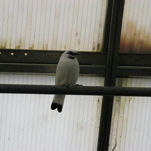 Birdland Park & Gardens 19.05.2007