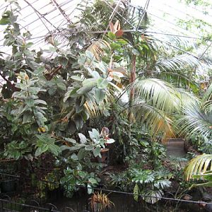 Birdland Park & Gardens 19.05.2007