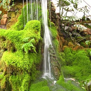 Birdland Park & Gardens 19.05.2007