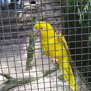 Birdland Park & Gardens 19.05.2007