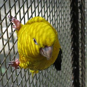 Birdland Park & Gardens 19.05.2007